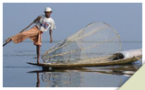 Inle Fisher Man